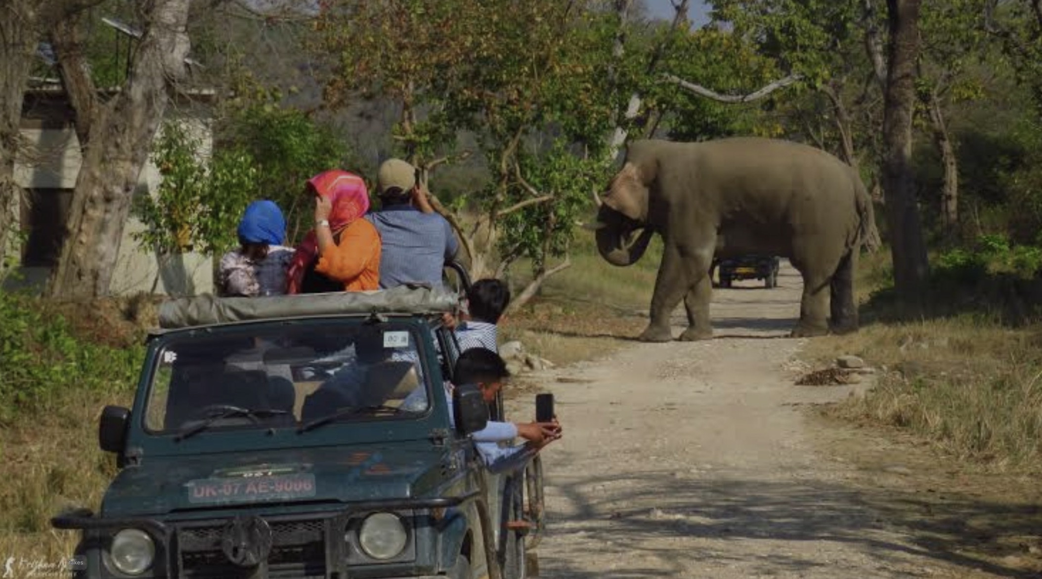 jhirna jeep safari corbettsafaribooking.co