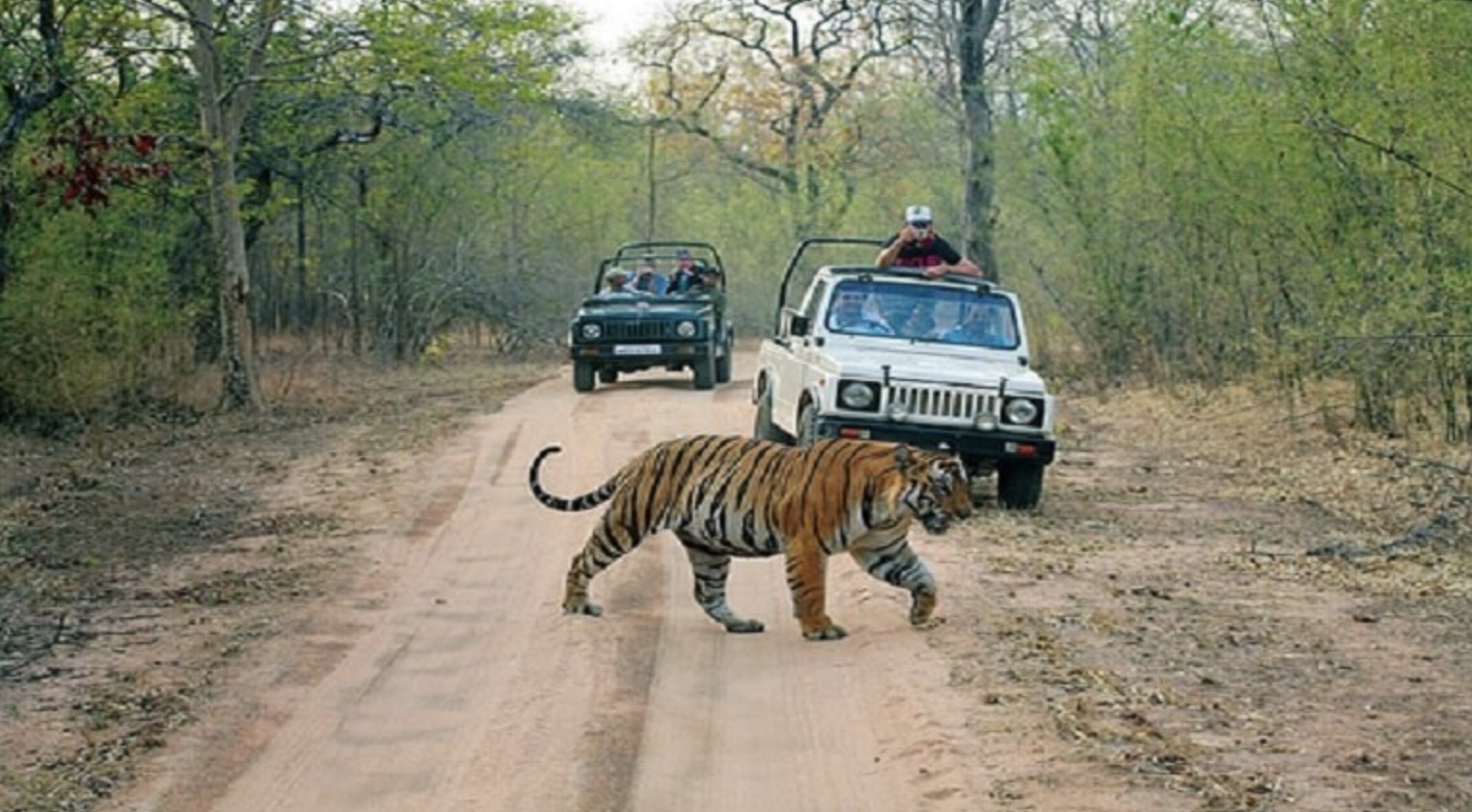 sitabani jeep safari corbett safari