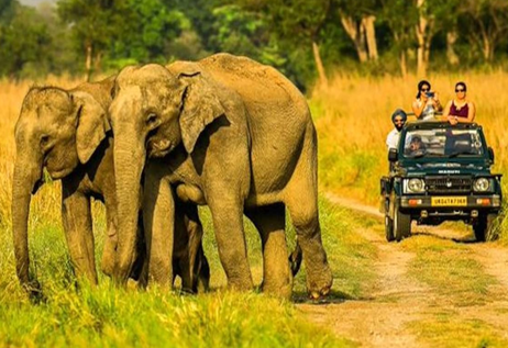 bhandarpani jeep safari corbettsafaribooking.co