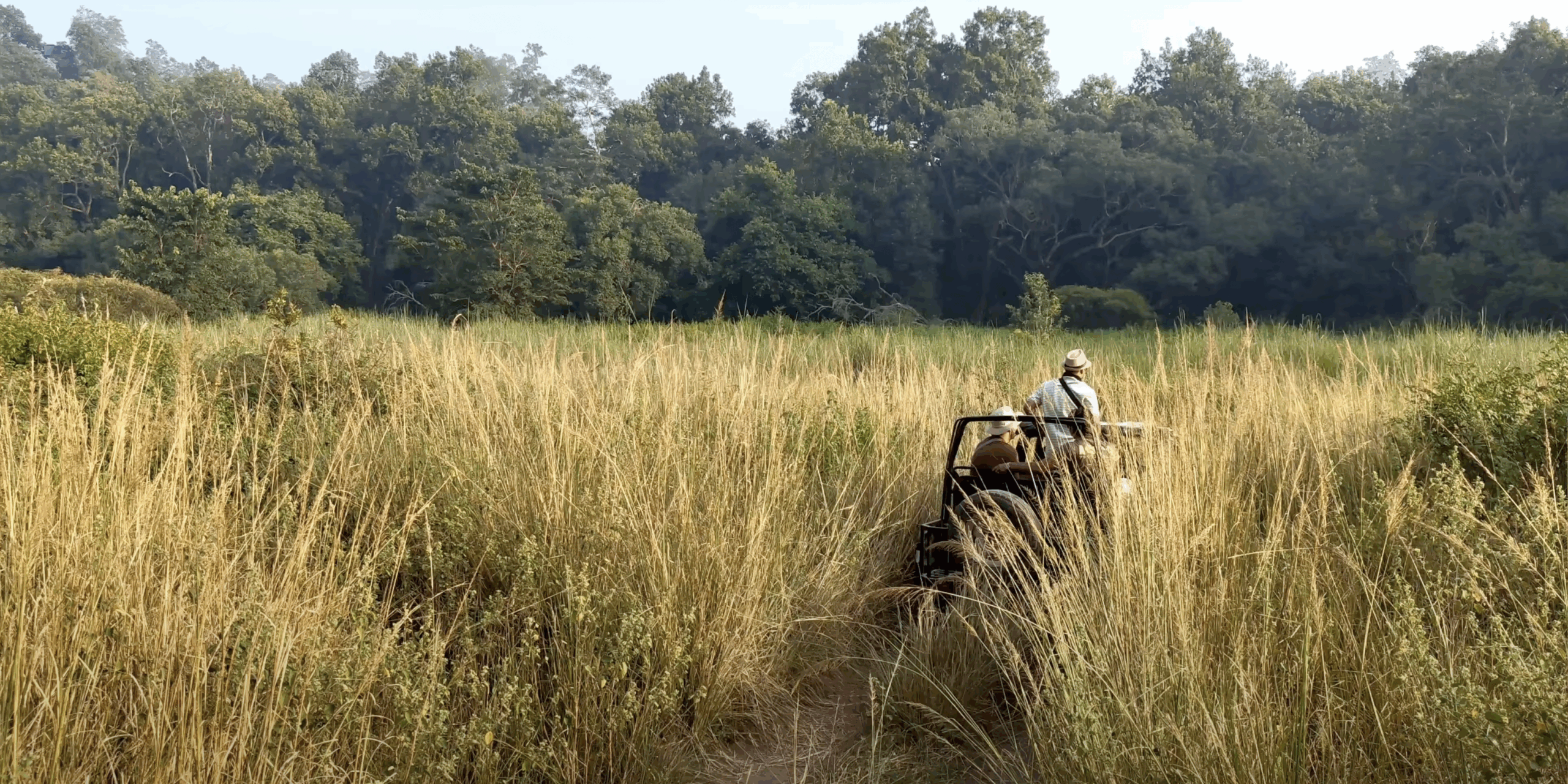 bijrani jeep safari corbettsafaribooking.co