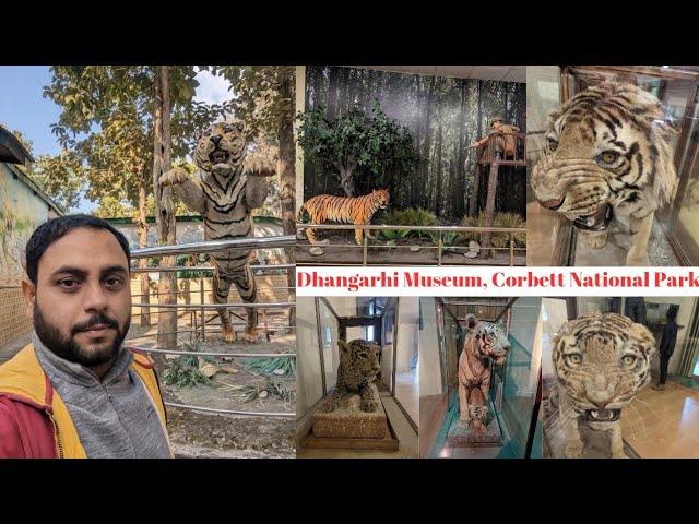 dhangarhi museum corbett national park