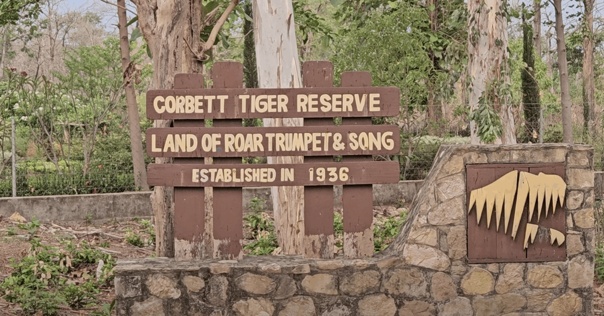 dhela jeep safari corbett safari booking