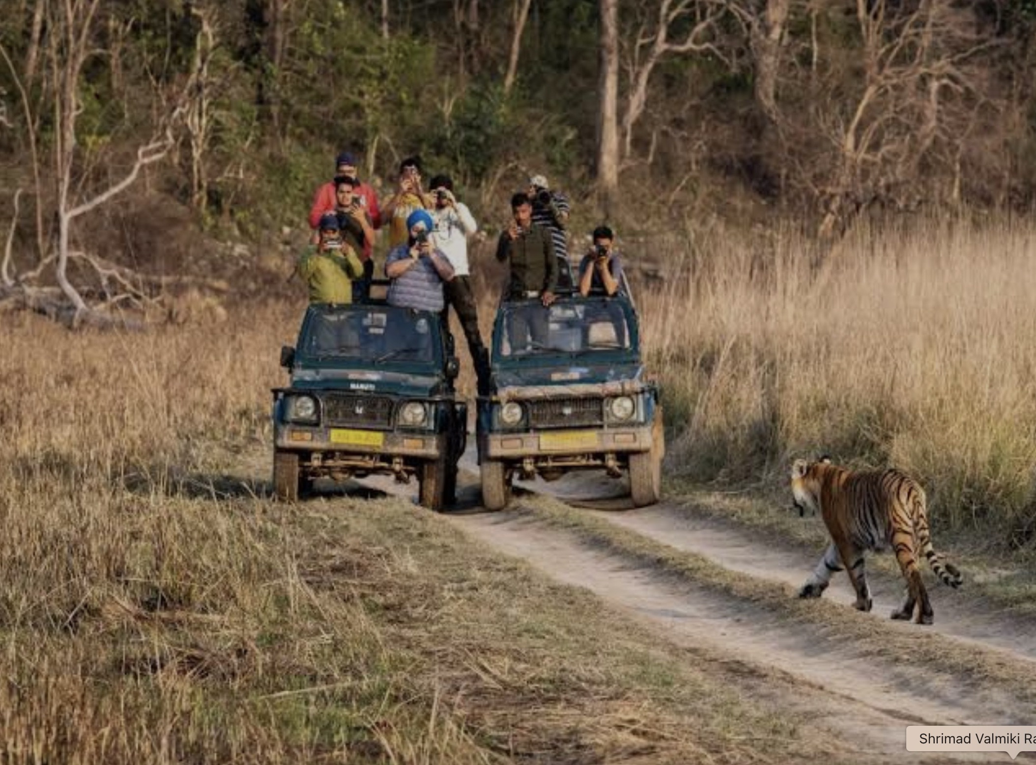 garjiya jeep safari corbettsafaribooking.co